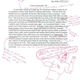 Illustration for article titled Examples of funny and stupid essay